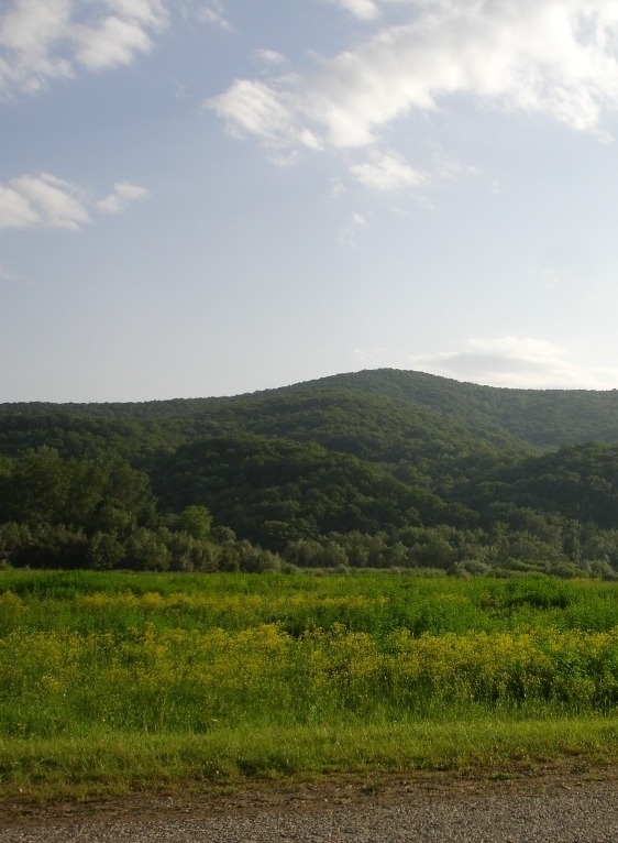 Земельные участки в Горячем Ключе и пригороде Участки